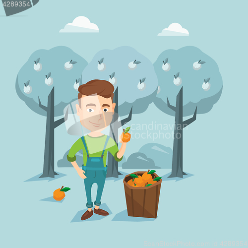 Image of Farmer collecting oranges vector illustration.