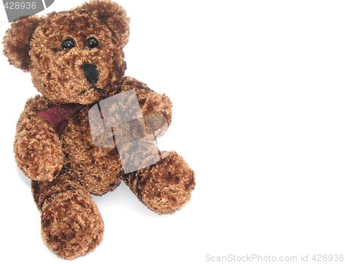 Image of cute brown teddy  bear toy
