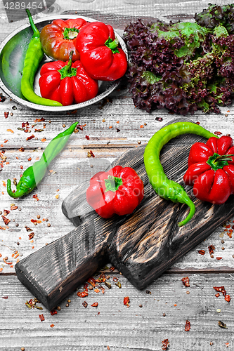 Image of Summer harvest of peppers