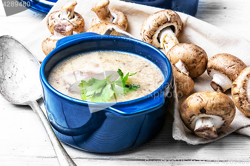 Image of Mushroom creamy soup