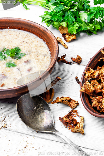 Image of Mushroom creamy soup