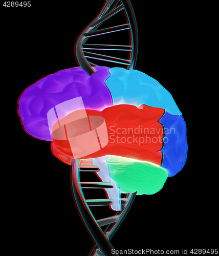 Image of Brain and dna. 3d illustration. Anaglyph. View with red/cyan gla