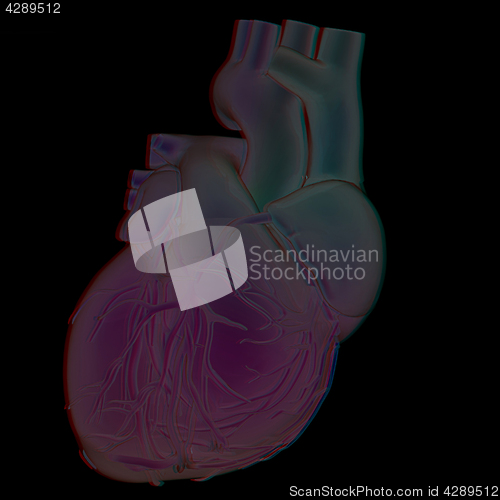 Image of Human heart and veins. 3D illustration.. Anaglyph. View with red