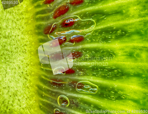 Image of kiwi green background