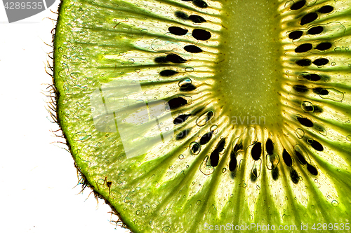 Image of kiwi green background