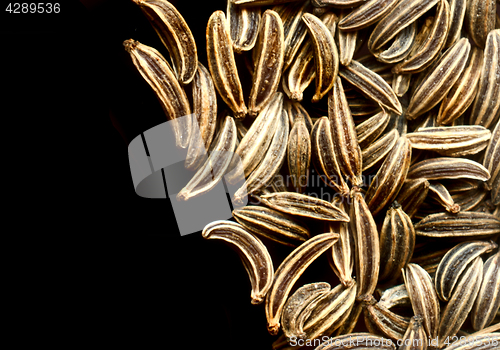 Image of caraway seeds background
