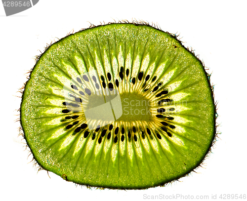 Image of slice of kiwi 