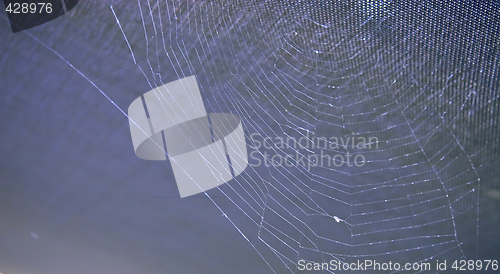 Image of strong spiders web