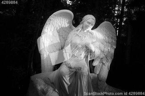 Image of Graveyard in Poland