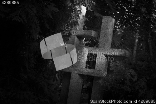 Image of Graveyard in Poland