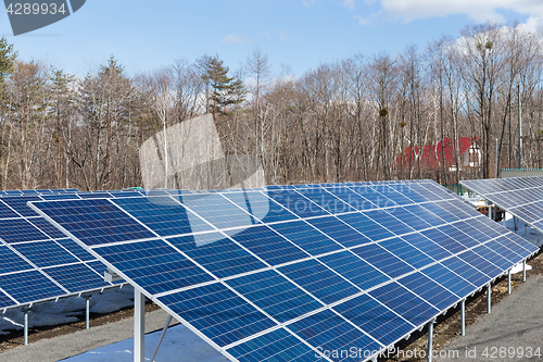 Image of Solar panel plant