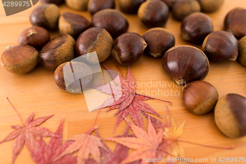 Image of Autumn season with maple leaves and chestnut