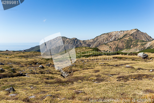 Image of Autumn highland