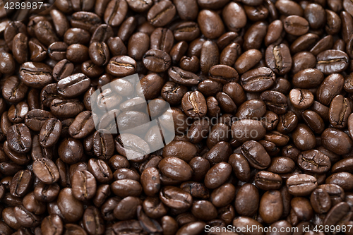 Image of Coffee bean