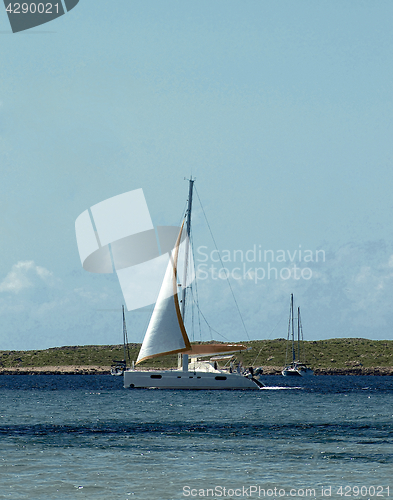 Image of Yachts in Harbor