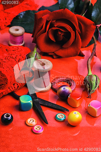 Image of 