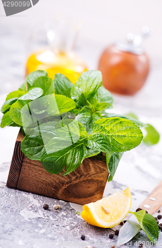 Image of fresh mint