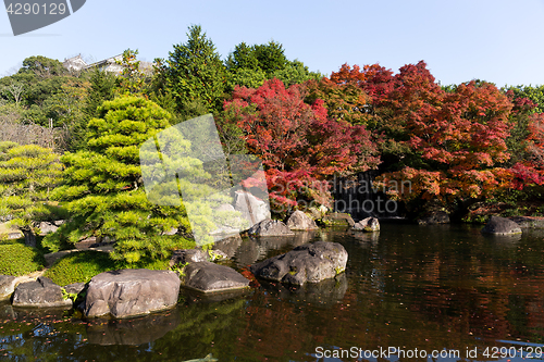 Image of Autumn garden in Japan