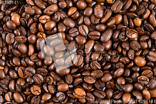 Image of Roasted Coffee bean