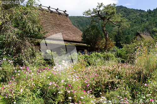 Image of Shirakawago village 