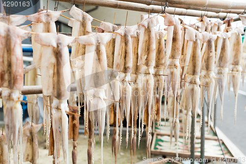 Image of Drying squid hanging on the rack
