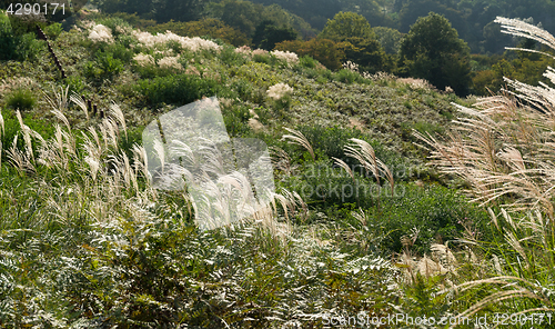 Image of Mountain in autumn