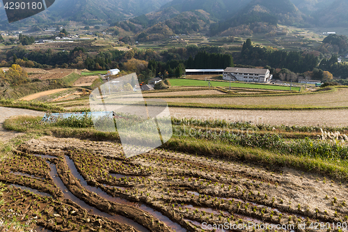 Image of Countryside in Japan at autumn