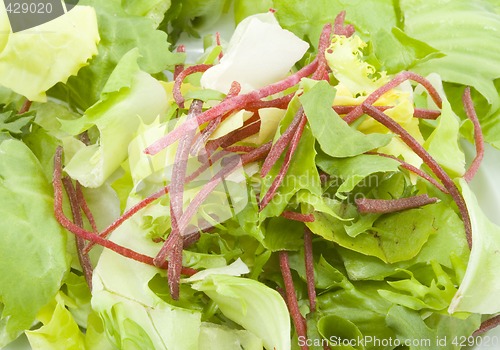 Image of Green Salad