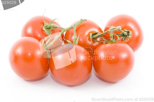 Image of Tomatoes