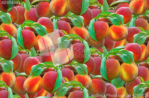 Image of Peach Seamless Pattern