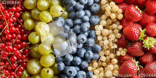 Image of various berries background