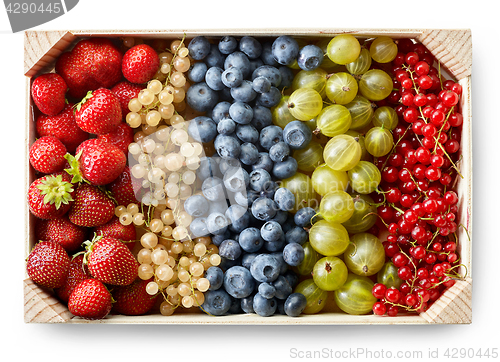 Image of wooden box of various berries