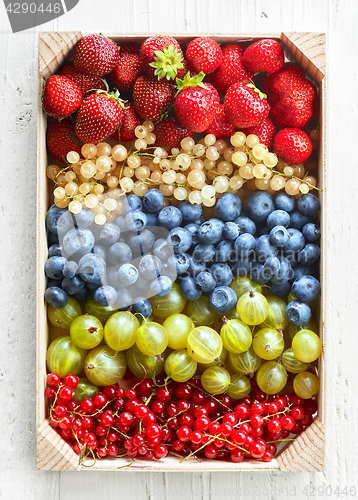 Image of box of various berries