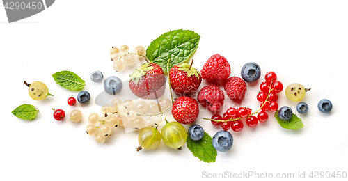 Image of composition of various berries