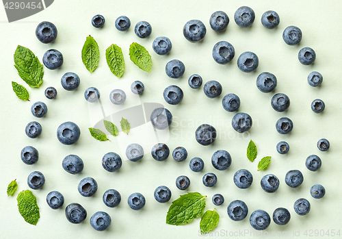 Image of fresh blueberries on light green paper background