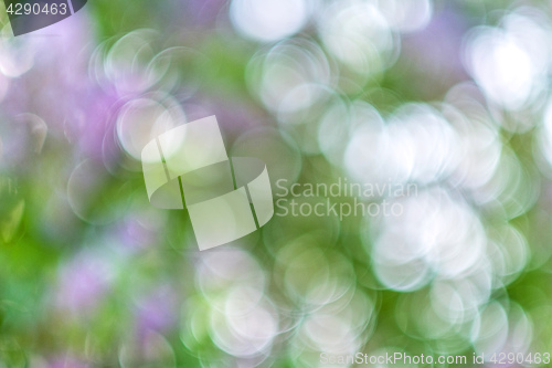 Image of Abstract blur of nature 