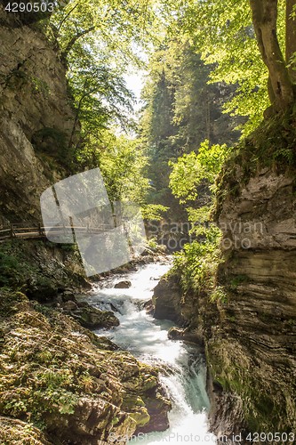 Image of The fabulous Vintgar Gorge in Slovenia near lake Bled