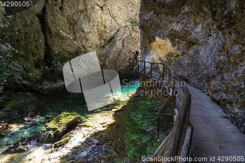 Image of Man carrying child hiking in Vintgar gorge in Slovenia near lake Bled.