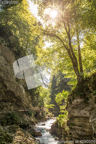 Image of The fabulous Vintgar Gorge in Slovenia near lake Bled