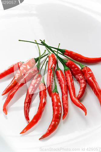 Image of White Plate of Hot Red Chili Cayenne Peppers