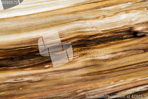 Image of Wood texture (background)
