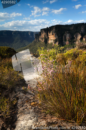 Image of Views across the clifftops Blue Mountains Australia