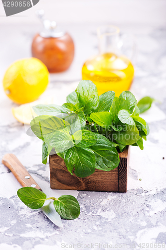 Image of fresh mint