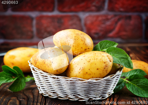 Image of potato