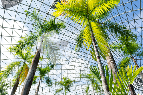 Image of Greenhouse