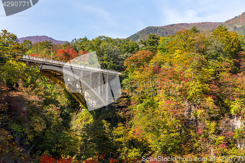 Image of Ofukazawa Bashi bridge in autumn season