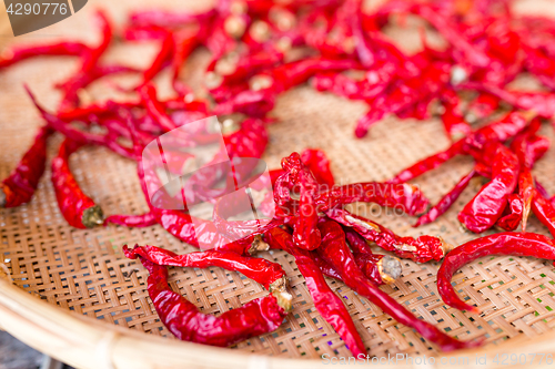 Image of Red hot chili pepper