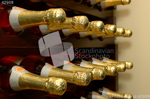 Image of Winery-Wine Bottles