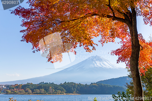 Image of Mount Fuji and autumn maple leaves