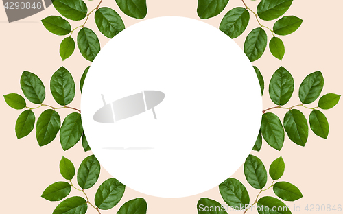 Image of white blank space and green leaves over beige